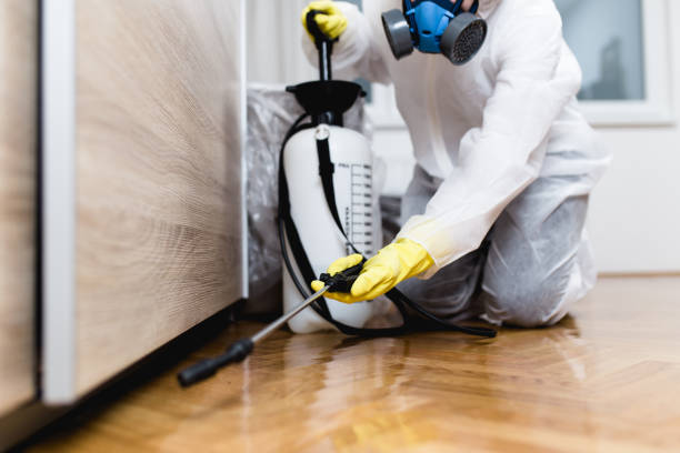 Best Termite Control Services  in Lake Forest, IL