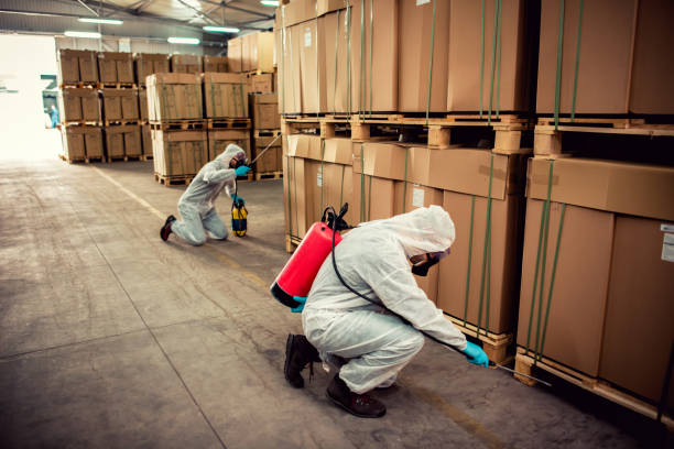 Best Mosquito Control Services  in Lake Forest, IL