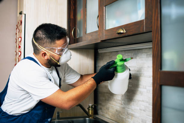 Best Cockroach Control Services  in Lake Forest, IL