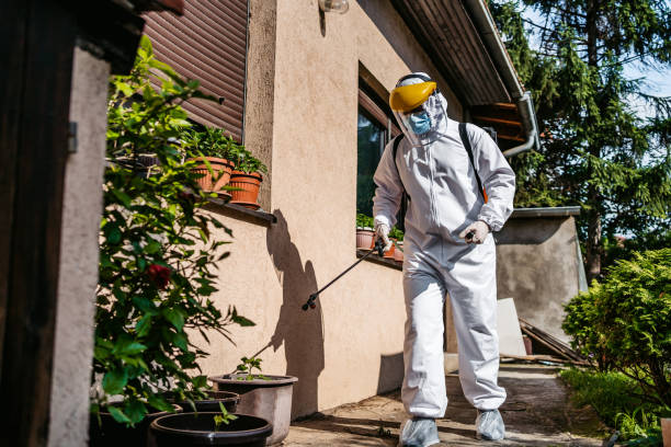 Best Local Pest Control Services  in Lake Forest, IL