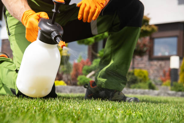 Best Affordable Pest Control Services  in Lake Forest, IL