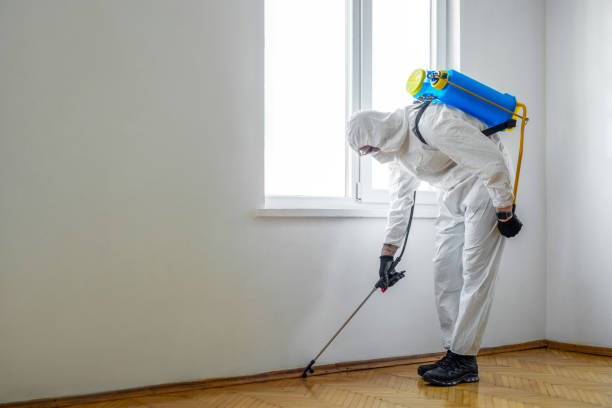 Best Pest Removal Services  in Lake Forest, IL