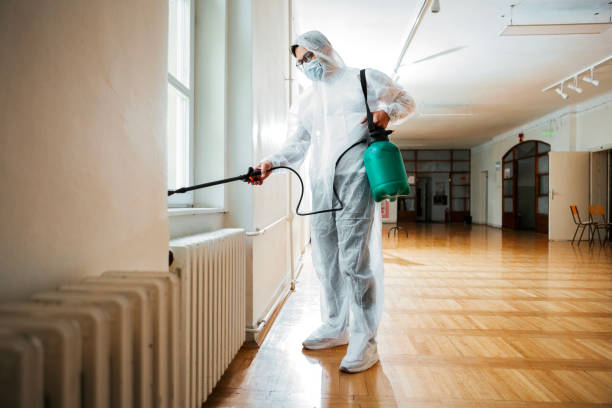 Best Wasp Removal Services  in Lake Forest, IL