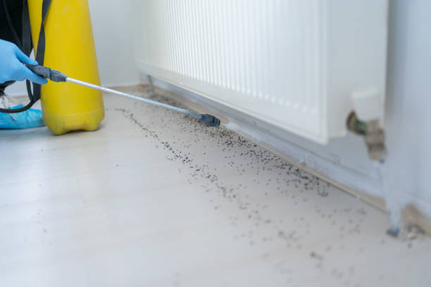 Best Commercial Pest Control Services  in Lake Forest, IL