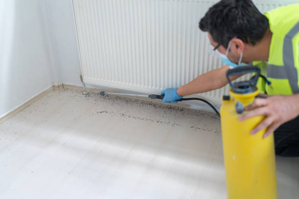 Best Emergency Pest Control  in Lake Forest, IL