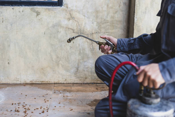 Professional Pest Control in Lake Forest, IL